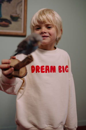 CMF DREAM BIG SWEATER
