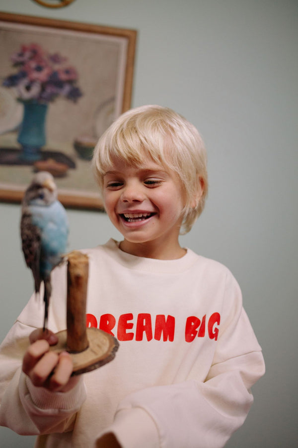 CMF DREAM BIG SWEATER