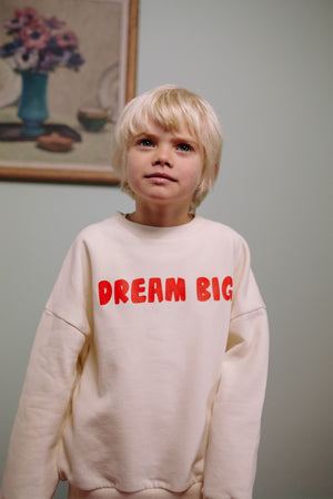 CMF DREAM BIG SWEATER
